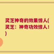 灵芝神奇的效果惊人(灵芝：神奇功效惊人！)