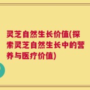 灵芝自然生长价值(探索灵芝自然生长中的营养与医疗价值)