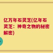 亿万年石灵芝(亿年石灵芝：神奇之物的秘密解密)