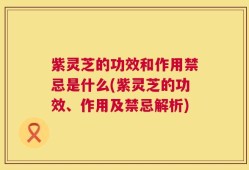 紫灵芝的功效和作用禁忌是什么(紫灵芝的功效、作用及禁忌解析)