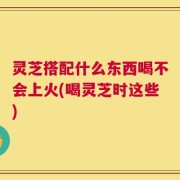 灵芝搭配什么东西喝不会上火(喝灵芝时这些)