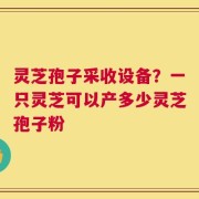 灵芝孢子采收设备？一只灵芝可以产多少灵芝孢子粉