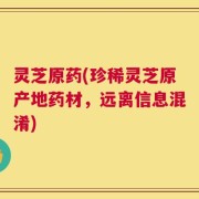 灵芝原药(珍稀灵芝原产地药材，远离信息混淆)