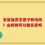 豆浆加灵芝孢子粉功效？山核桃可以做豆浆吗