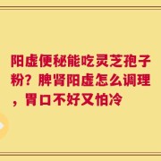 阳虚便秘能吃灵芝孢子粉？脾肾阳虚怎么调理，胃口不好又怕冷