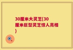 30厘米大灵芝(30厘米巨型灵芝惊人亮相)