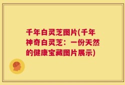 千年白灵芝图片(千年神奇白灵芝：一份天然的健康宝藏图片展示)