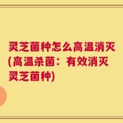 灵芝菌种怎么高温消灭(高温杀菌：有效消灭灵芝菌种)