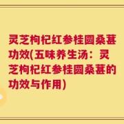 灵芝枸杞红参桂圆桑葚功效(五味养生汤：灵芝枸杞红参桂圆桑葚的功效与作用)