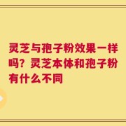灵芝与孢子粉效果一样吗？灵芝本体和孢子粉有什么不同
