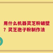 用什么机器灵芝粉破壁？灵芝孢子粉制作法