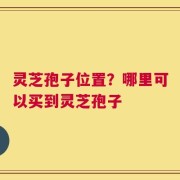 灵芝孢子位置？哪里可以买到灵芝孢子
