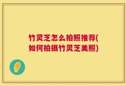 竹灵芝怎么拍照推荐(如何拍摄竹灵芝美照)