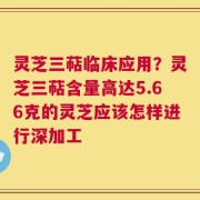 灵芝三萜临床应用？灵芝三萜含量高达5.66克的灵芝应该怎样进行深加工