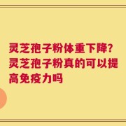 灵芝孢子粉体重下降？灵芝孢子粉真的可以提高免疫力吗