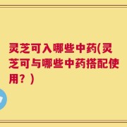 灵芝可入哪些中药(灵芝可与哪些中药搭配使用？)
