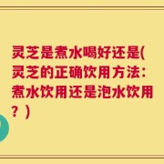 灵芝是煮水喝好还是(灵芝的正确饮用方法：煮水饮用还是泡水饮用？)