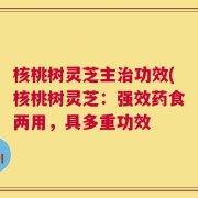 核桃树灵芝主治功效(核桃树灵芝：强效药食两用，具多重功效