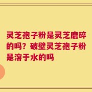 灵芝孢子粉是灵芝磨碎的吗？破壁灵芝孢子粉是溶于水的吗