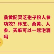 桑黄配灵芝孢子粉人参功效？林芝、桑黄、人参、天麻可以一起泡酒吗