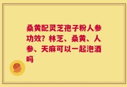 桑黄配灵芝孢子粉人参功效？林芝、桑黄、人参、天麻可以一起泡酒吗