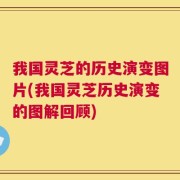 我国灵芝的历史演变图片(我国灵芝历史演变的图解回顾)