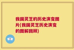 我国灵芝的历史演变图片(我国灵芝历史演变的图解回顾)