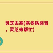 灵芝去寒(寒冬防感冒，灵芝来帮忙)