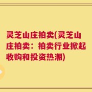 灵芝山庄拍卖(灵芝山庄拍卖：拍卖行业掀起收购和投资热潮)