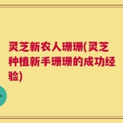 灵芝新农人珊珊(灵芝种植新手珊珊的成功经验)