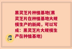 黑灵芝片种植基地(黑灵芝片在种植基地大规模生产的新闻，可以写成：黑灵芝片大规模生产在种植基地)