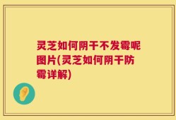 灵芝如何阴干不发霉呢图片(灵芝如何阴干防霉详解)