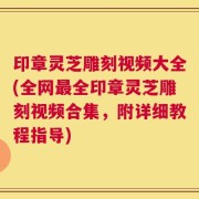 印章灵芝雕刻视频大全(全网最全印章灵芝雕刻视频合集，附详细教程指导)