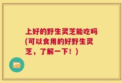 上好的野生灵芝能吃吗(可以食用的好野生灵芝，了解一下！)