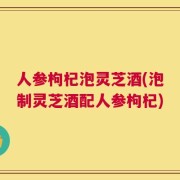 人参枸杞泡灵芝酒(泡制灵芝酒配人参枸杞)