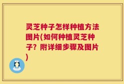 灵芝种子怎样种植方法图片(如何种植灵芝种子？附详细步骤及图片)