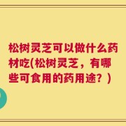 松树灵芝可以做什么药材吃(松树灵芝，有哪些可食用的药用途？)