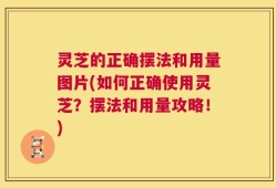 灵芝的正确摆法和用量图片(如何正确使用灵芝？摆法和用量攻略！)