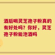 酒后喝灵芝孢子粉真的有好处吗？你好，灵芝孢子粉能泡酒吗