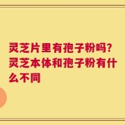 灵芝片里有孢子粉吗？灵芝本体和孢子粉有什么不同