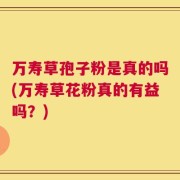 万寿草孢子粉是真的吗(万寿草花粉真的有益吗？)
