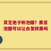 灵芝孢子粉泡醋？黑豆泡醋可以让白发转黑吗
