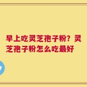 早上吃灵芝孢子粉？灵芝孢子粉怎么吃最好