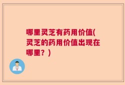 哪里灵芝有药用价值(灵芝的药用价值出现在哪里？)