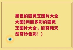 黑色的圆灵芝图片大全大图(绚丽多彩的圆灵芝图片大全，欣赏纯天然奇妙色彩！)