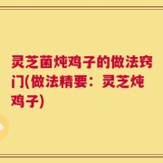 灵芝菌炖鸡子的做法窍门(做法精要：灵芝炖鸡子)