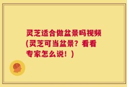 灵芝适合做盆景吗视频(灵芝可当盆景？看看专家怎么说！)
