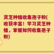 灵芝种植收集孢子粉(收获丰富！学习灵芝种植，掌握如何收集孢子粉)