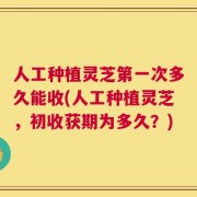 人工种植灵芝第一次多久能收(人工种植灵芝，初收获期为多久？)