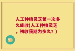 人工种植灵芝第一次多久能收(人工种植灵芝，初收获期为多久？)